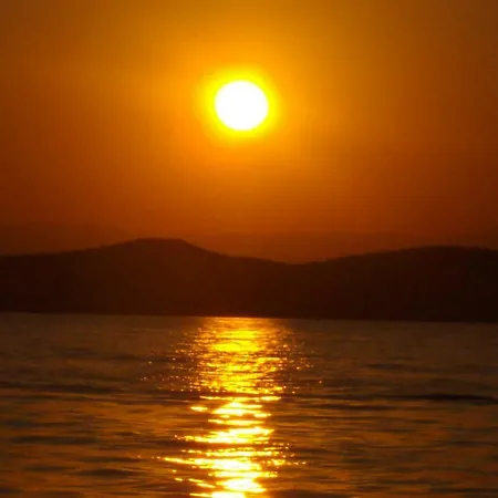 Chrysoula *